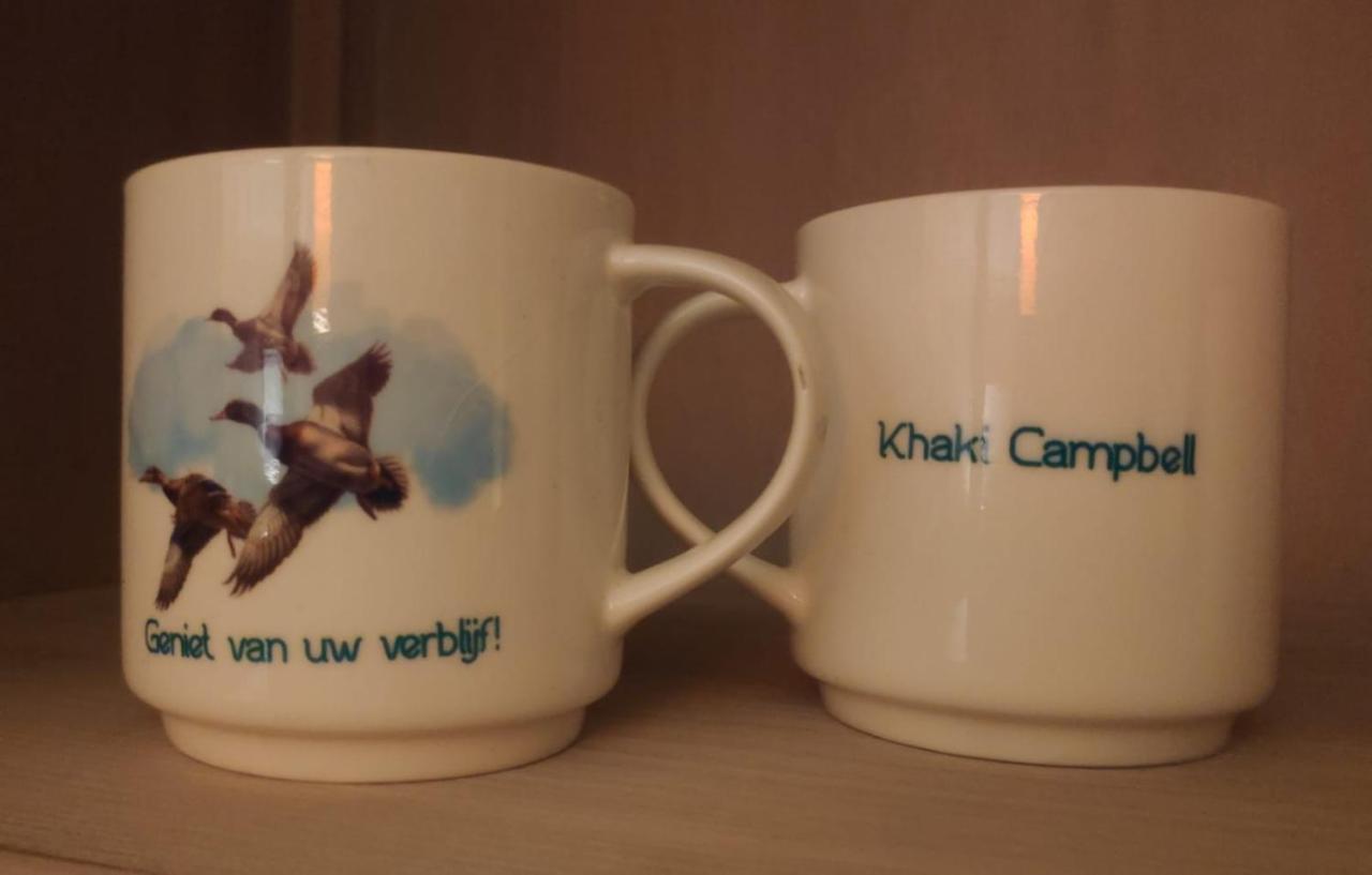 فيلا Khaki Campbell إرميلو المظهر الخارجي الصورة