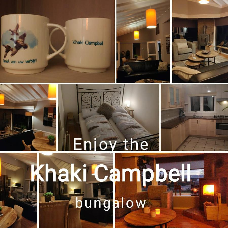 فيلا Khaki Campbell إرميلو المظهر الخارجي الصورة